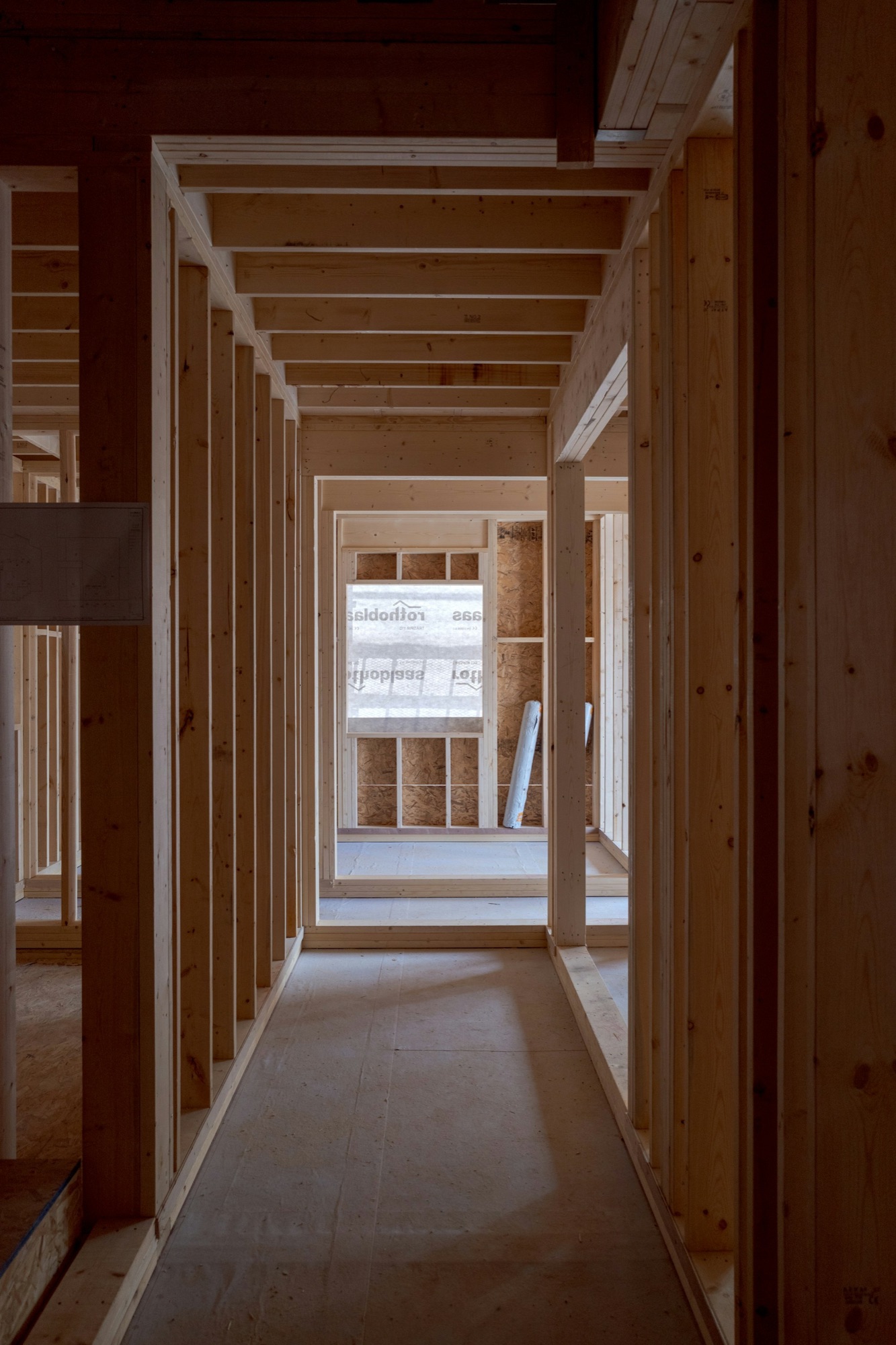 Timber stud framing inside a house mid-renovation